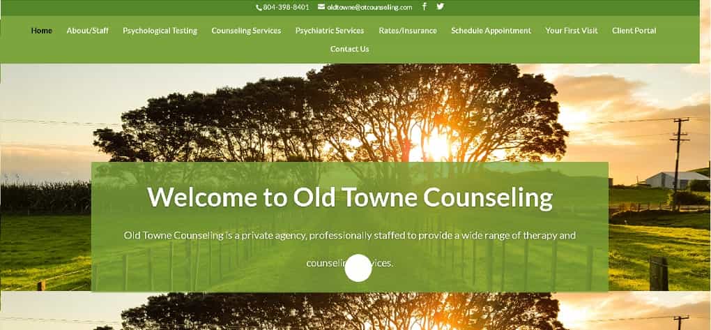 Old Towne Counseling Website Design Before we redesigned it.