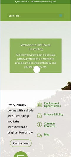 Old Towne Counseling Website Mobile Design Before we redesigned it.